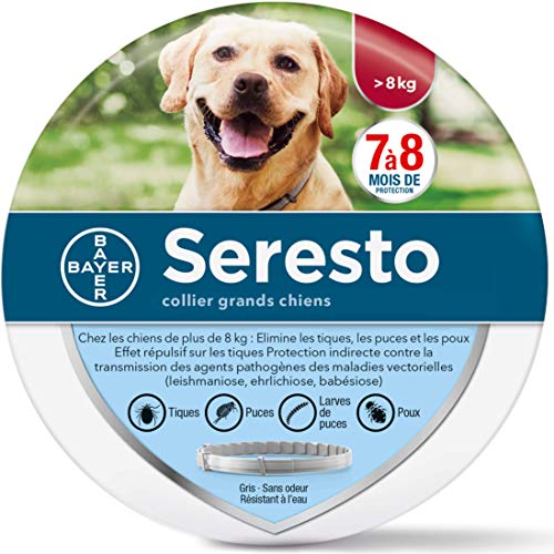 SERESTO Chien – Collier Anti-Puces et Anti-Tiques pour Grands Chiens - 8KG Et Plus