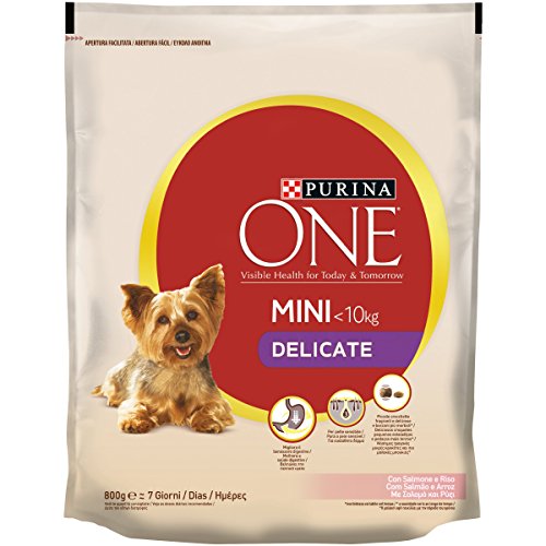 PURINA ONE - Mini pienso para Perro, Delicado, con salmón y arroz, para Perros de hasta 10 kg, 800 g