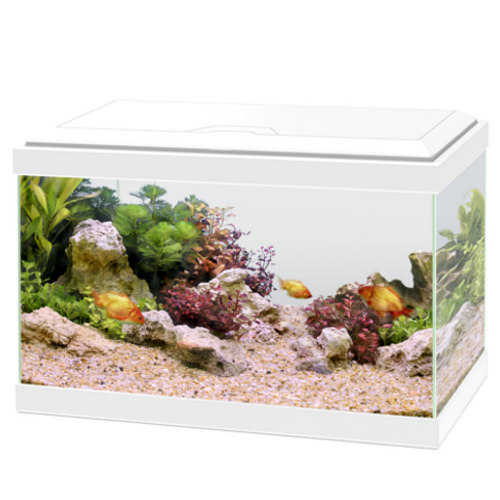 Aquário Ciano Aqua 20 light